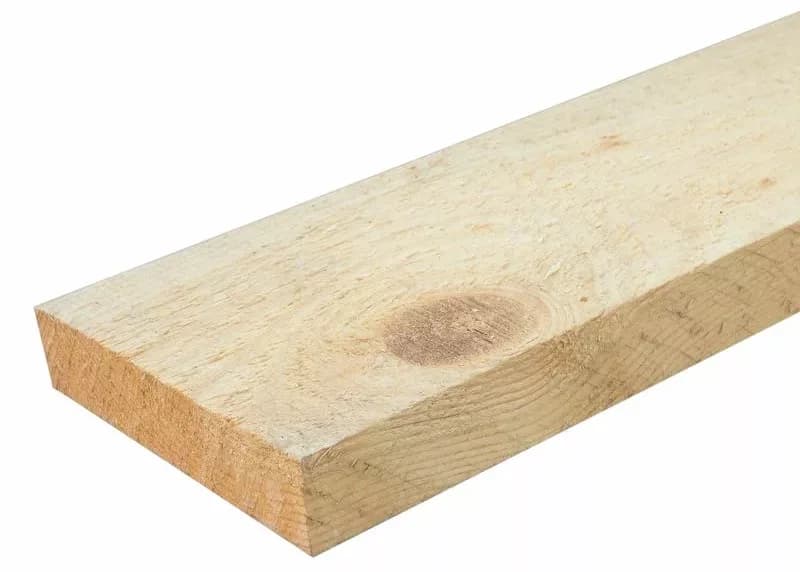 Сосна и Ель